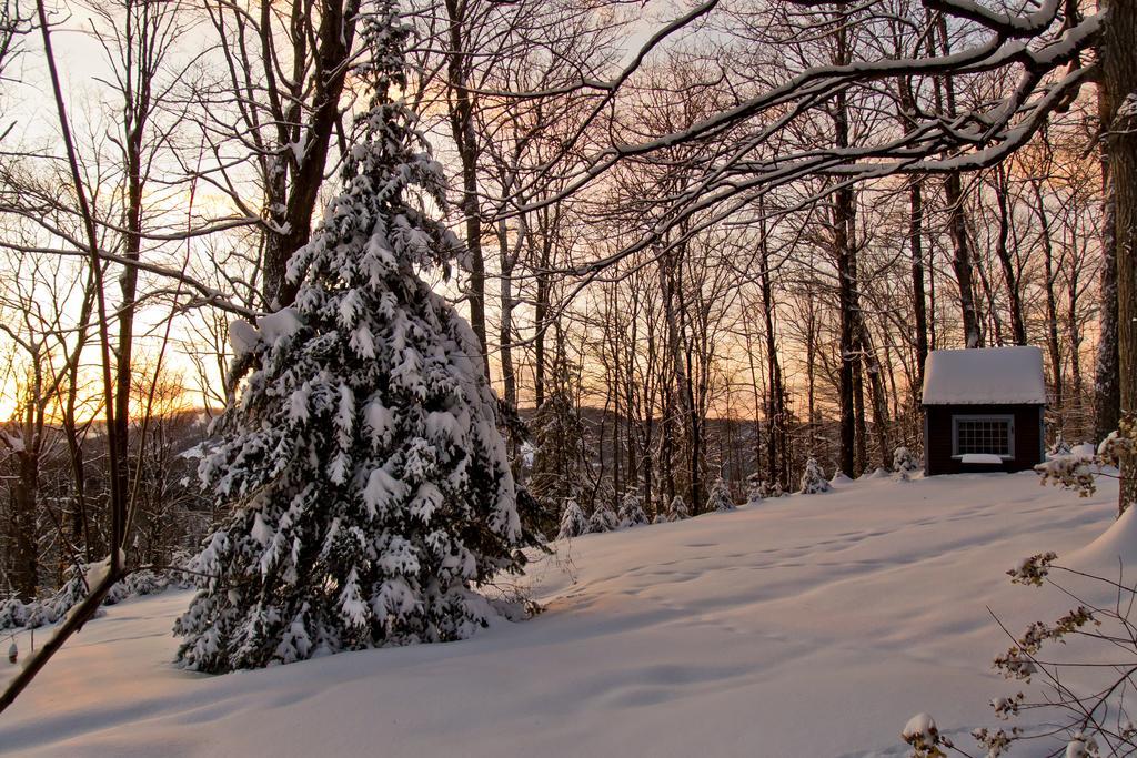 Le Petit Clocher Gite Touristique B & B Saint-Sauveur-des-Monts 외부 사진