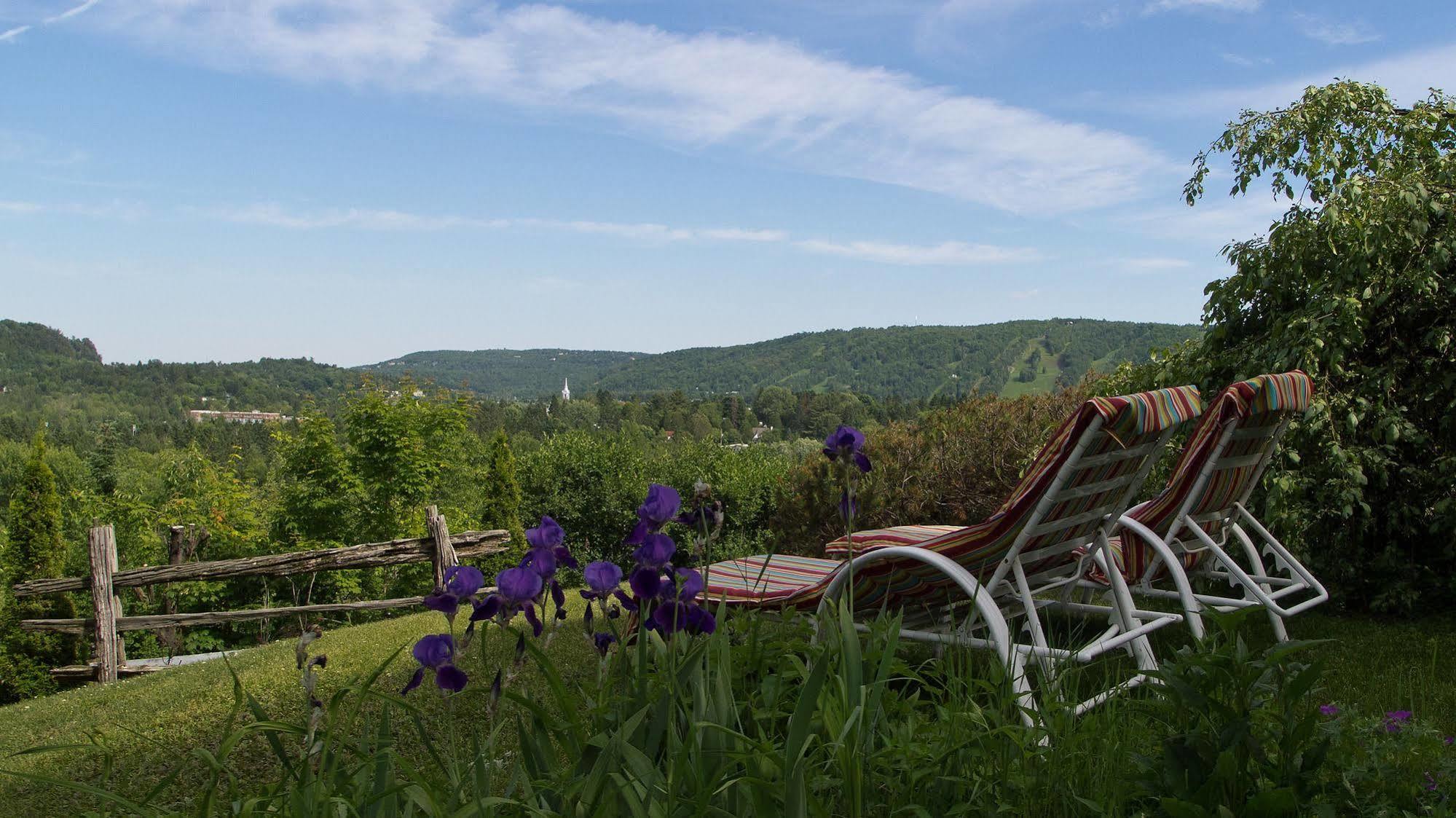 Le Petit Clocher Gite Touristique B & B Saint-Sauveur-des-Monts 외부 사진